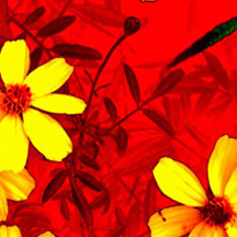 网页攻击器教程