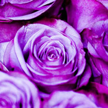 性能优异强劲的免费ddos攻击网页端